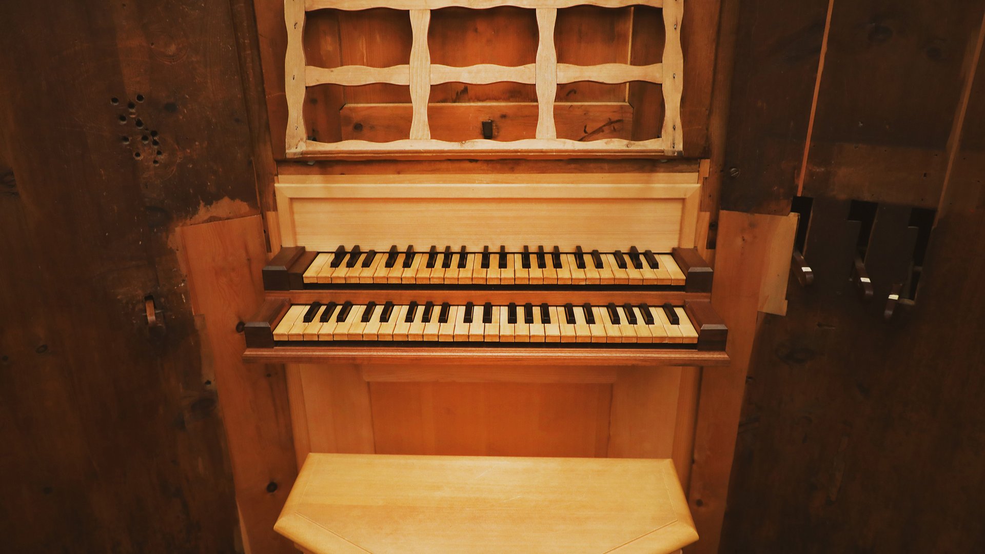 Daniel-Herz-Orgel Daniel-Herz-Orgel