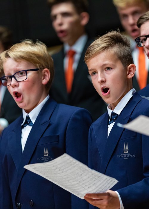 Brixner Dom Brixner Dom